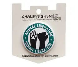 پیکسل قلعه شنی A04 - کاکوتی