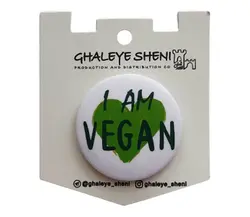 پیکسل قلعه شنی A06 - کاکوتی