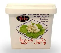 سویا پنیر شوید بکر مقدا 450 گرم
