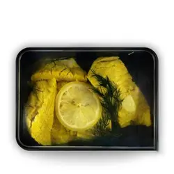 دوست ماهی وایزفود wise food 4 عددی - کاکوتی