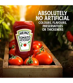 HEINZ سس کچاپ 570 گرمی هاینز - کچی یامی HEINZ سس کچاپ 570 گرمی هاینز