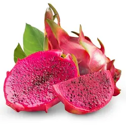 دراگون توسرخ یک عدد ۴۵۰گرم