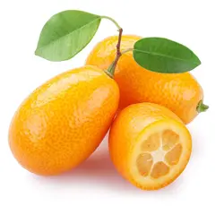 کامکوات ۵۰۰گرم