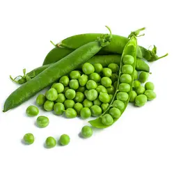 نخود سبز