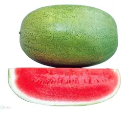 هندوانه ۱۰کیلویی (کپی)