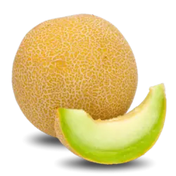 ملون 1 کیلوگرم