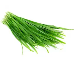 تره تازه بسته بندی100g