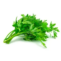 جعفری تازه بسته بندی100g