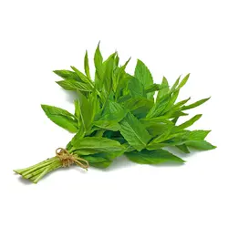 نعنا تازه بسته بندی100g