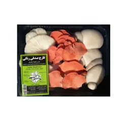 قارچ صدفی رنگی ۲۰۰گرم