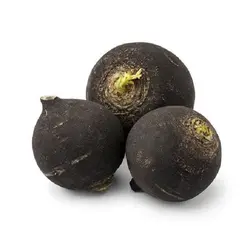 ترب سیاه ۵۰۰گرم