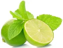 لیمو ترش پرشین 500گرم