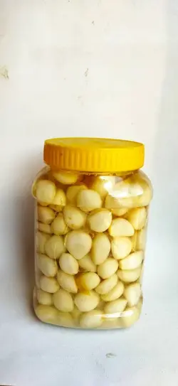 ترشی سیر صدفی