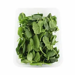 بیبی اسفناج ۱۰۰گرم
