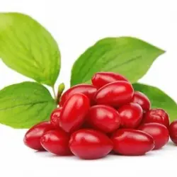 زغال اخته فریز ۵۰۰گرم