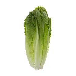 کاهو یک عدد