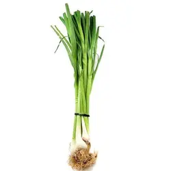سیر تازه200g