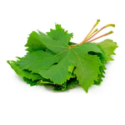 برگ تاک 500g
