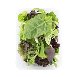 سبزی میکس مدیترانه ای ۲۰۰گرم