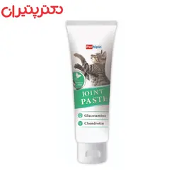 خمیر مالت گربه پتالپین مدل مفصل وزن 110 گرم