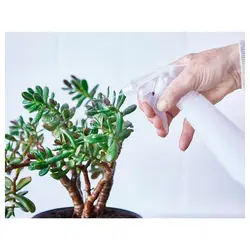 اسپری آبپاش سفید ایکیا TOMAT