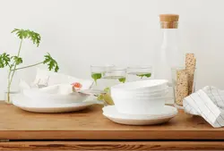 پیش دستی ایکیا OFTAST