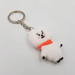 جاکلیدی سیلیکونی آرجی