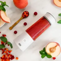 مخلوط کن شارژی شش تیغه پرودو مدل PD-PJW6B ظرفیت 0.4 لیتر