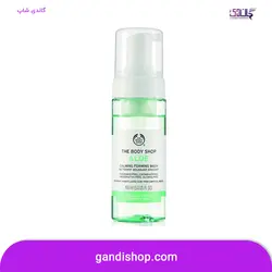 فوم شستشوی صورت آلوئه ورا بادی شاپ