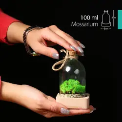 موساريوم ويال | خانه گل گلوريا