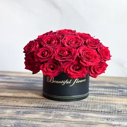 باکس گل رز قرمز هلندی | خانه گل گلوريا