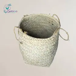 زاموفیلیا با گلدان حصیری | خانه گل گلوريا