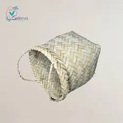 زاموفیلیا با گلدان حصیری | خانه گل گلوريا