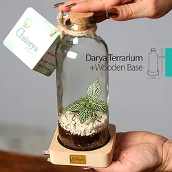 تراریوم دریا | خانه گل گلوريا