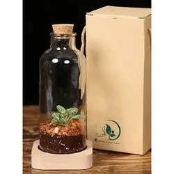 تراریوم دریا | خانه گل گلوريا