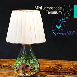 آباژور تراریومی مینی | خانه گل گلوريا