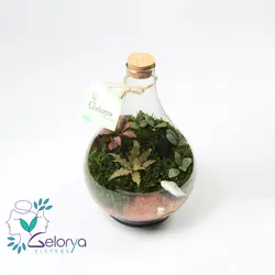 تراریوم پوپک VIP