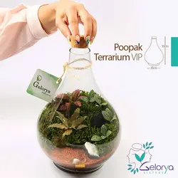 تراریوم پوپک VIP