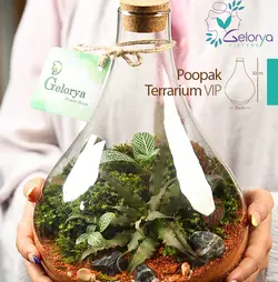 تراریوم پوپک VIP