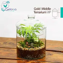 تراریوم گلد میدل vip | خانه گل گلوريا