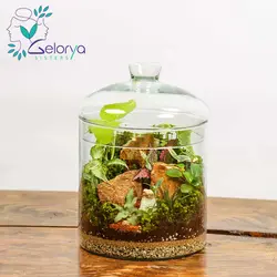 تراریوم گلد میدل vip | خانه گل گلوريا