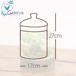 تراریوم گلد میدل vip | خانه گل گلوريا