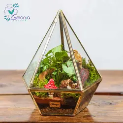 تراریوم مدل هگزا | خانه گل گلوريا