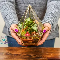 تراریوم مدل هگزا | خانه گل گلوريا