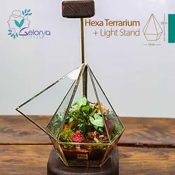 تراریوم مدل هگزا | خانه گل گلوريا