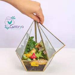 تراریوم مدل هگزا | خانه گل گلوريا