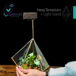 تراریوم مدل هگزا | خانه گل گلوريا