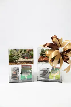 ست پذیرایی مدل مانا سایز 1 | خانه گل گلوريا