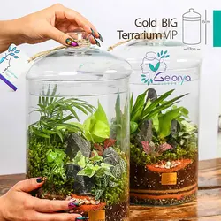 تراریوم مدل گلد بزرگ vip | خانه گل گلوريا