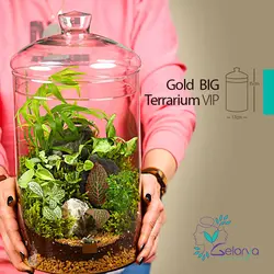 تراریوم مدل گلد بزرگ vip | خانه گل گلوريا